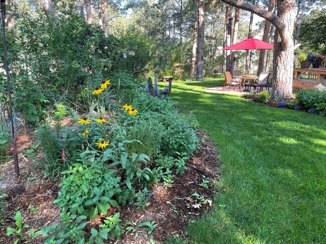 Building Photo - Warm & Spacious Woodmoor Home in a Fantast...