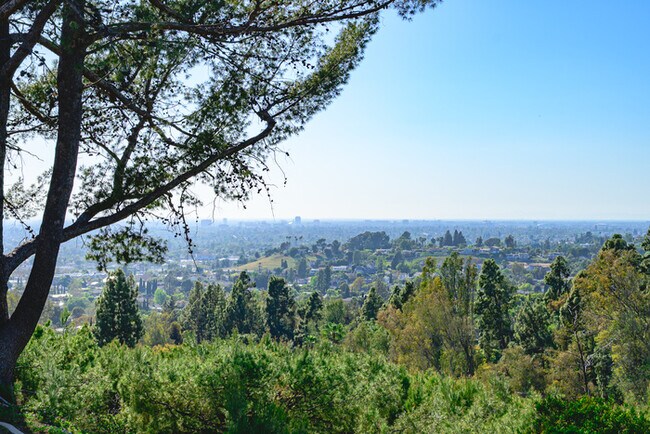 Building Photo - 10961 Limetree Dr