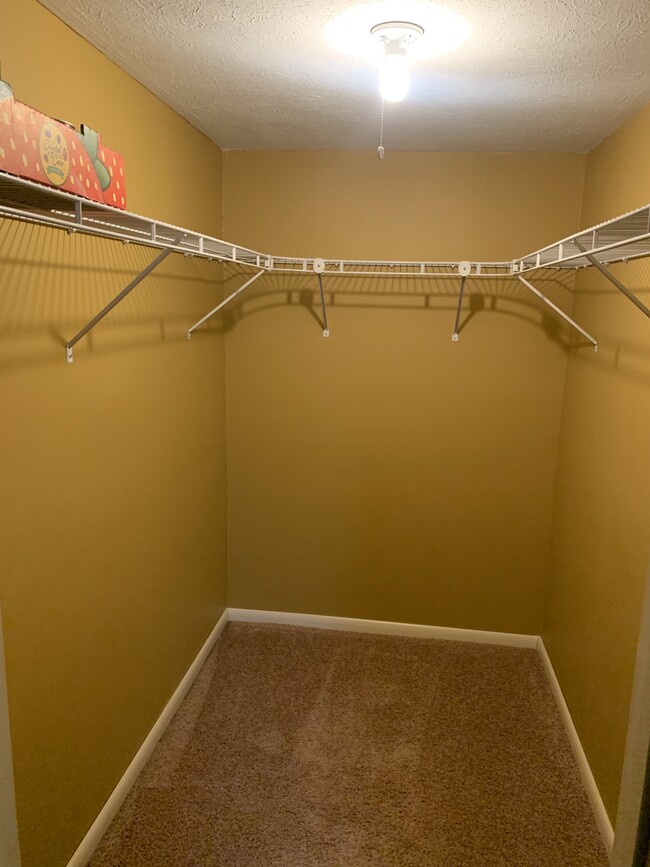 Building Photo - 1680 Cedarwood Dr
