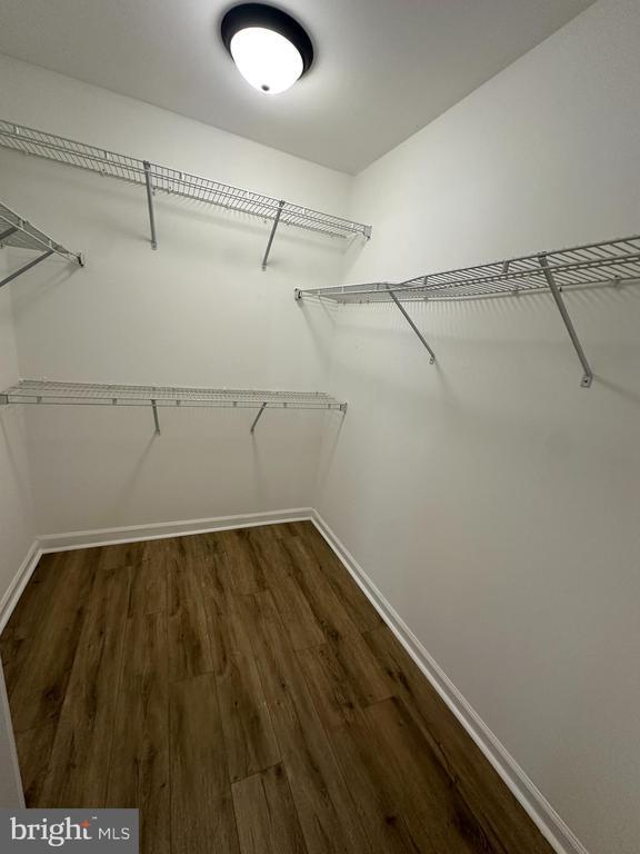 Building Photo - 1327 Lewis Ln