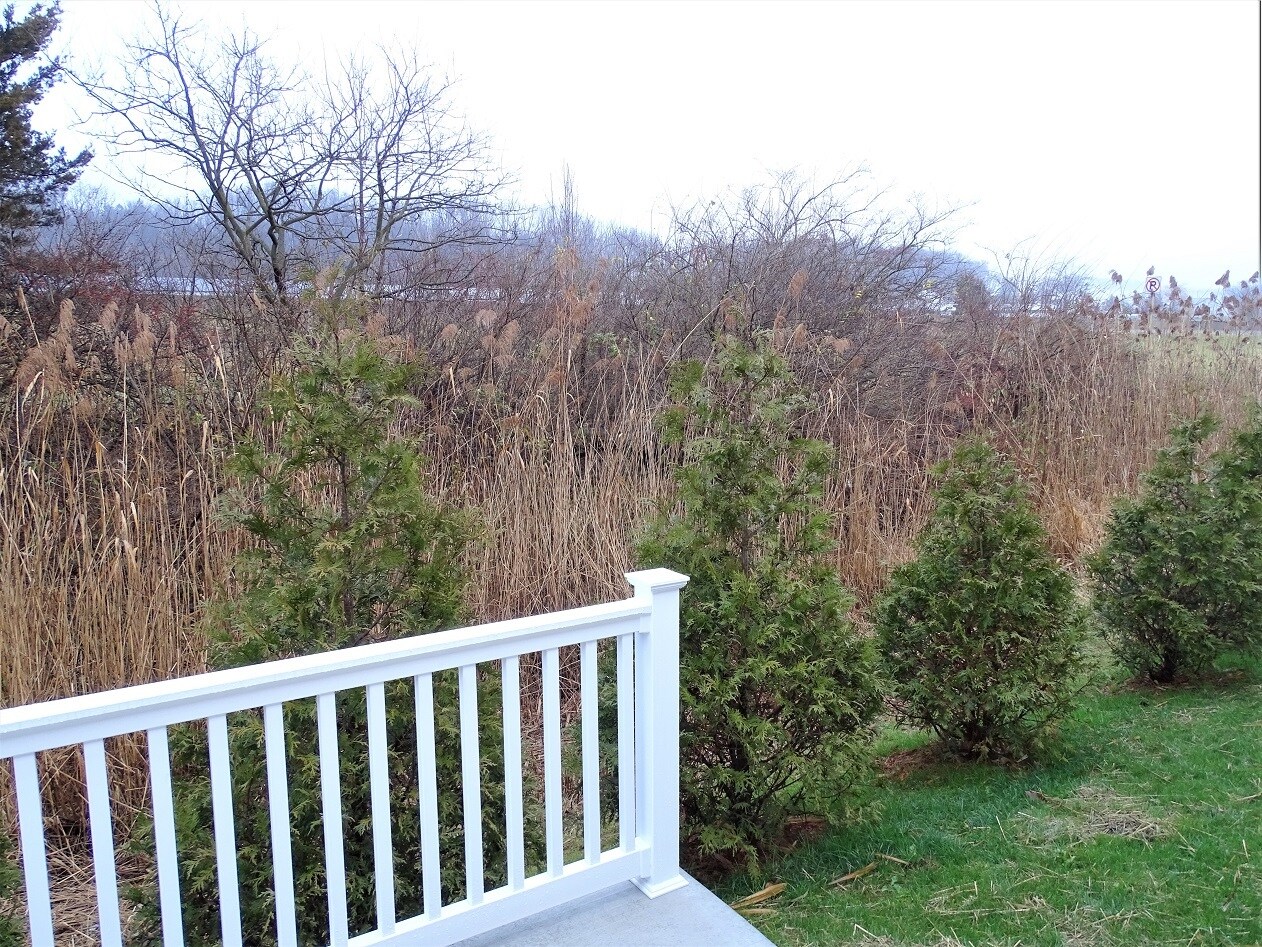 Building Photo - 207 Abbey Ln