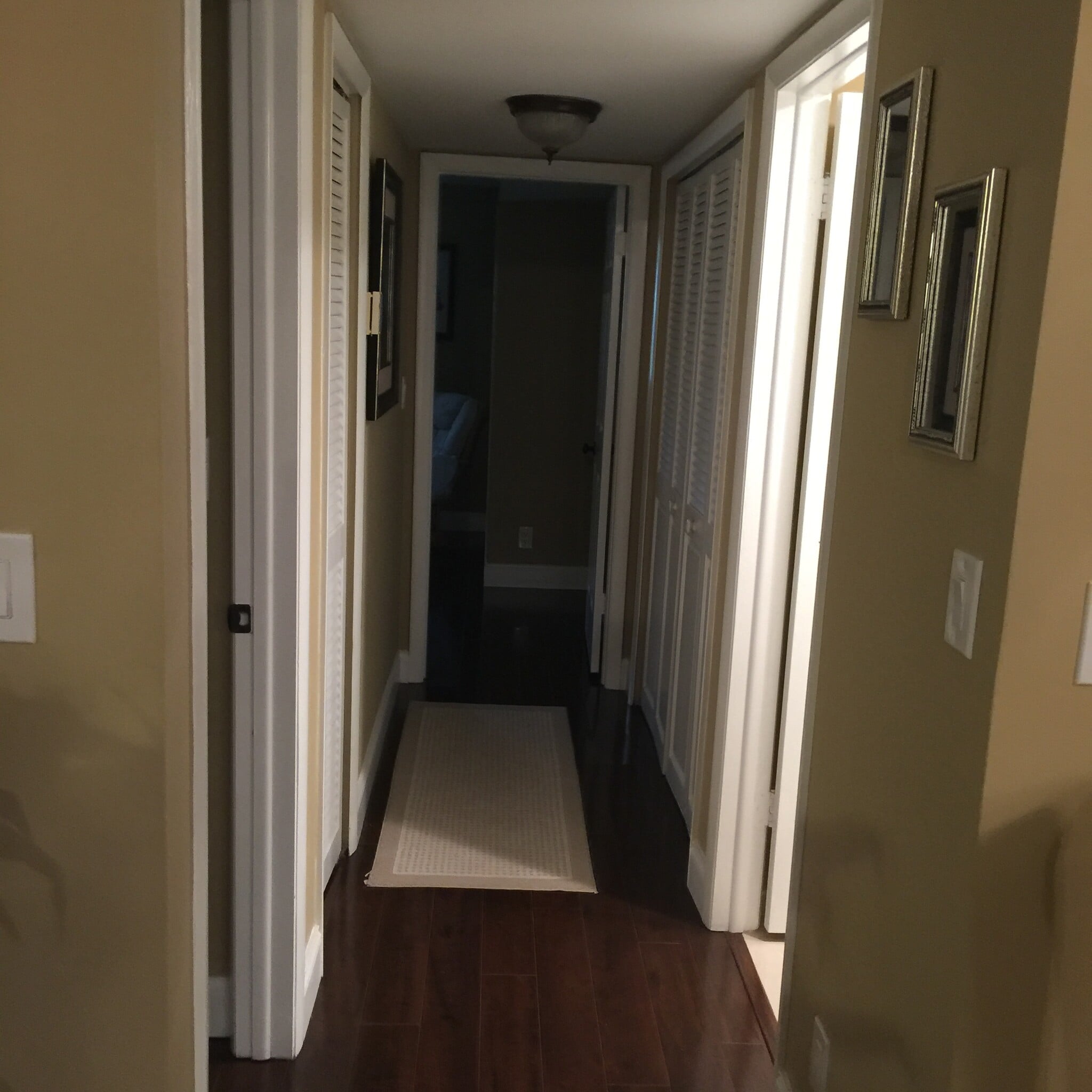view of hallway from frt door - 123 Deer Creek Blvd