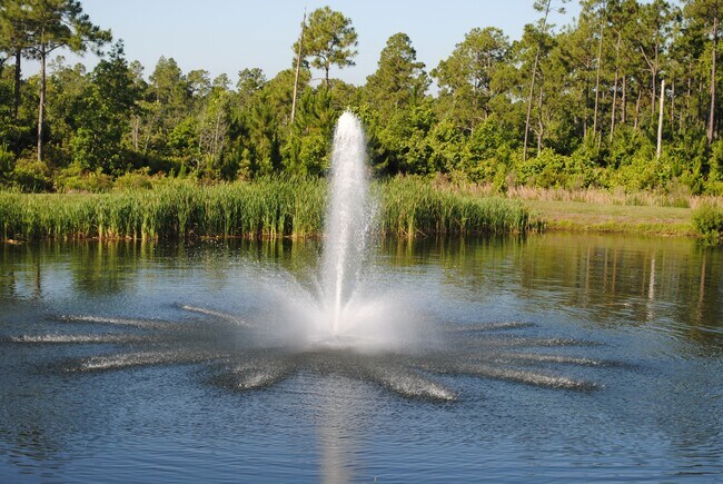 Building Photo - 1736 Coriander Dr