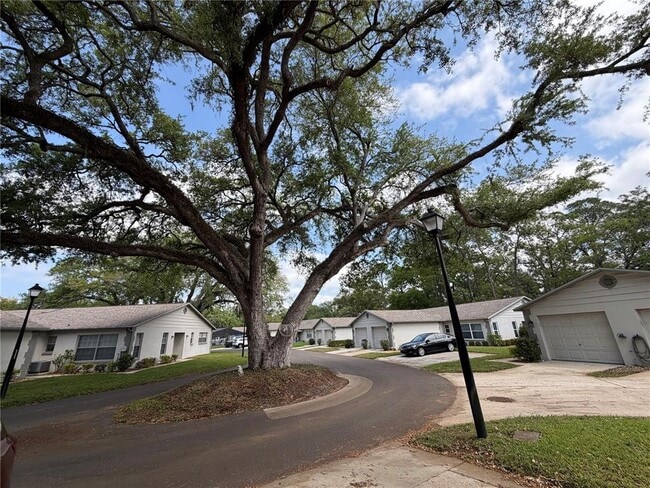 Building Photo - 3724 River Oaks Ct