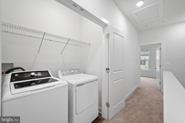 Building Photo - 210 Sundrop Ln