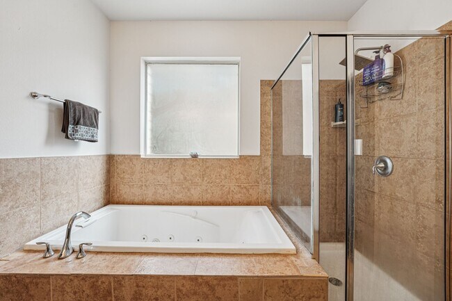 Building Photo - Massive 4 Bedroom, 2.5 Bathroom home in Blanco Vista - astro turfed front yard