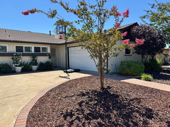 Building Photo - Beautifully Updated 4 Bedroom, 3 Bath Sing...