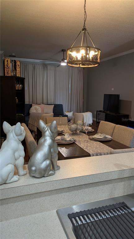 Building Photo - 581 Painted Leaf Dr