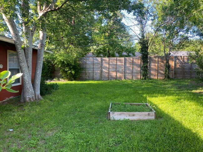 Building Photo - Charming South Austin Classic