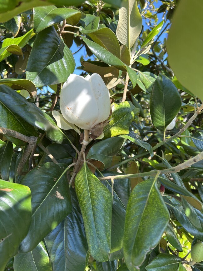 Building Photo - 2609 Herring Ave