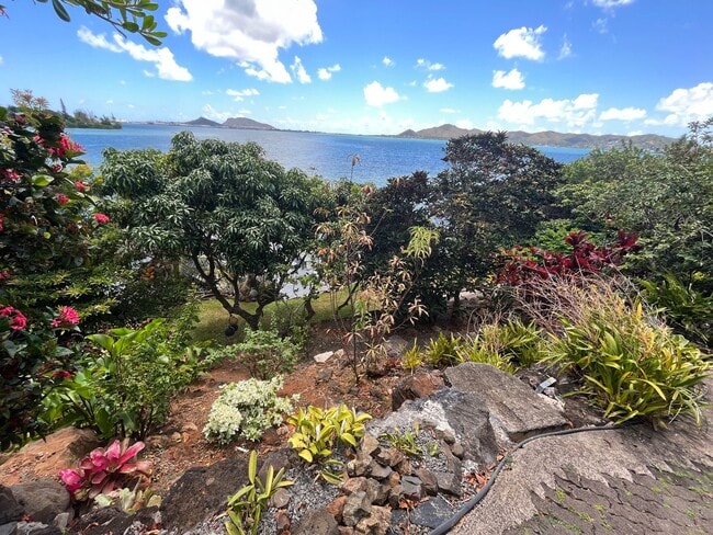 Building Photo - Hawaii living at its best.  Beautiful Kaneohe Bay front.