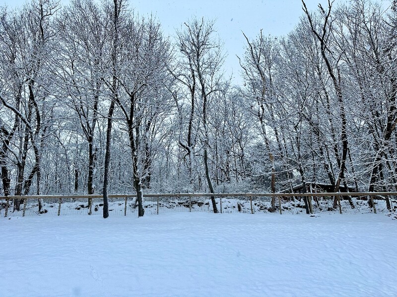 Building Photo - 4 Maplewood Dr