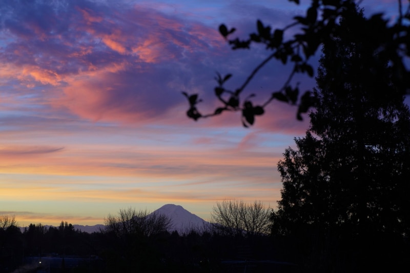Building Photo - 9429B 18th Ave SW