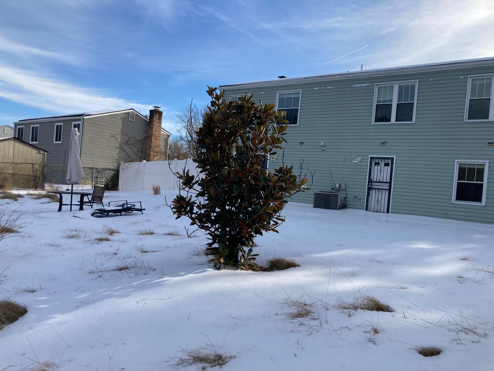 Building Photo - 3804 Charred Oak Dr