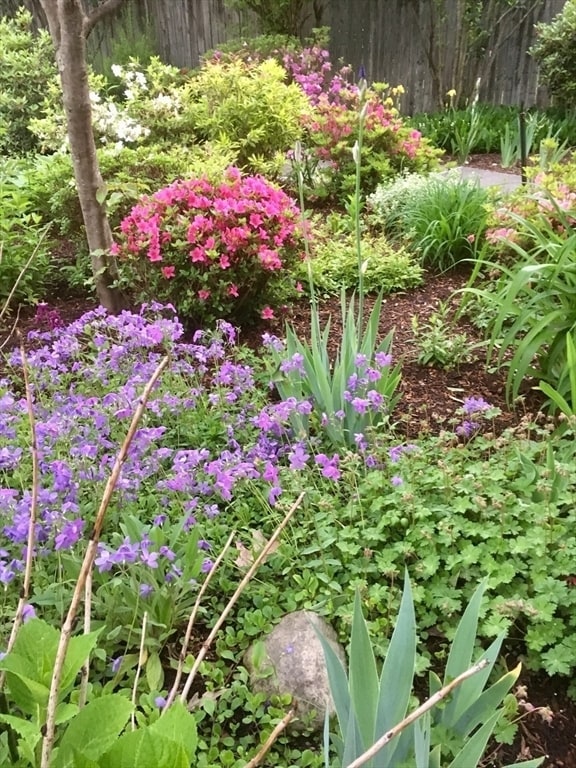 Building Photo - 71 Chapel St