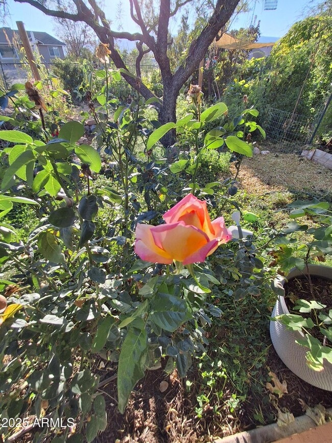 Building Photo - 4020 E Creek View Dr