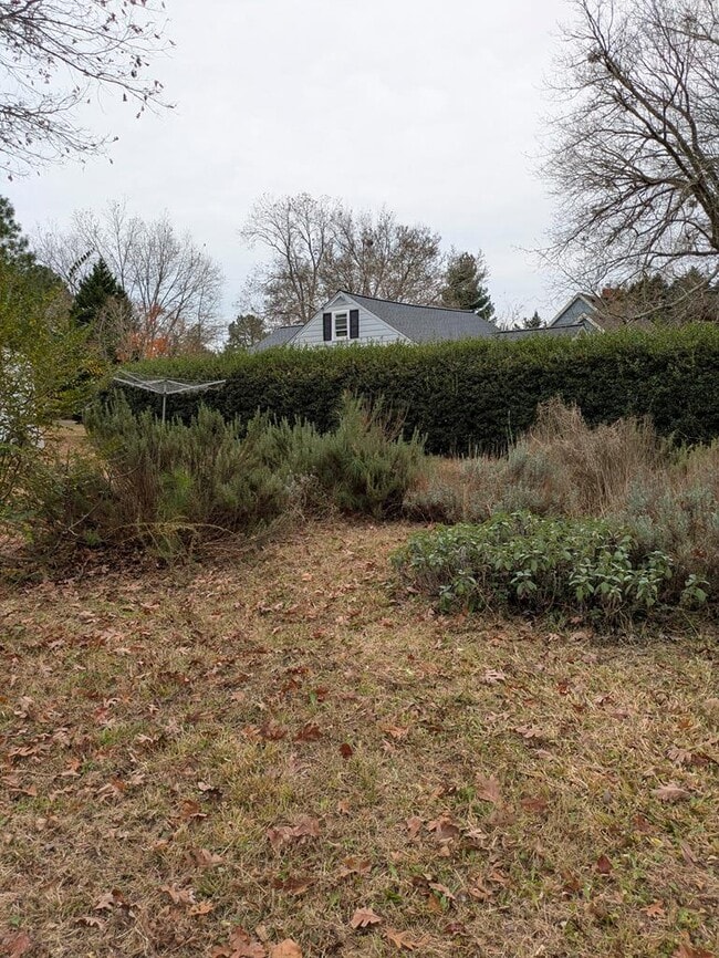 Building Photo - 12 Holly St