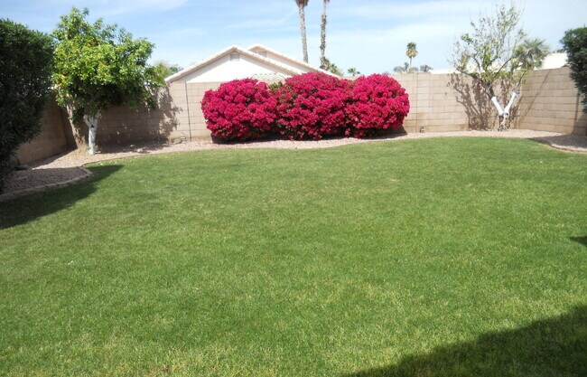 Building Photo - BEAUTIFUL CHANDLER HOME WITH LARGE YARD IN PRIME LOCATION