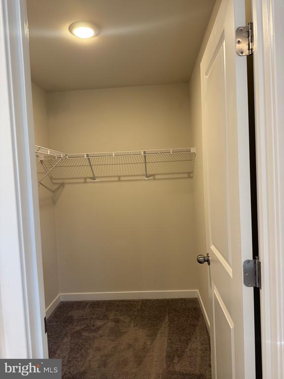 Building Photo - 83 Four Leaf Dr