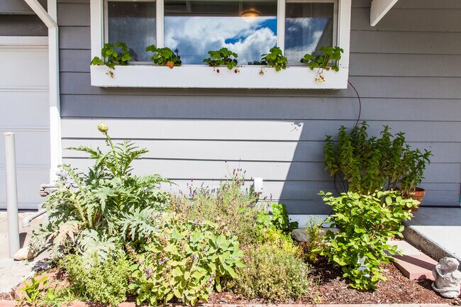 Building Photo - Available 10/11 – West Seattle Gem with Pr...