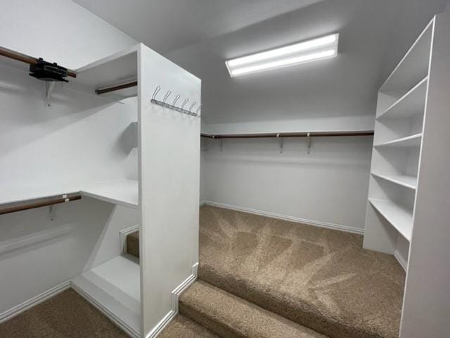 Building Photo - 2501 Grizzly Run Ln