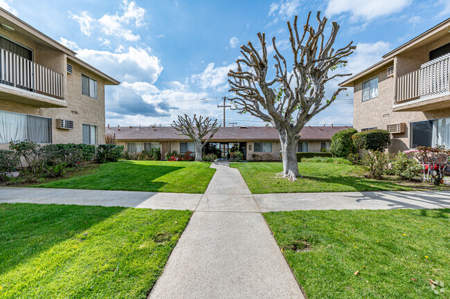 Colima Terrace Grounds - Colima Terrace Apts