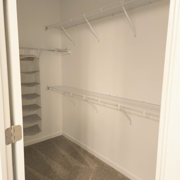 Building Photo - 6532 Wilford Ct