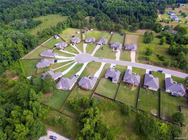 Building Photo - 175 Serene Ln