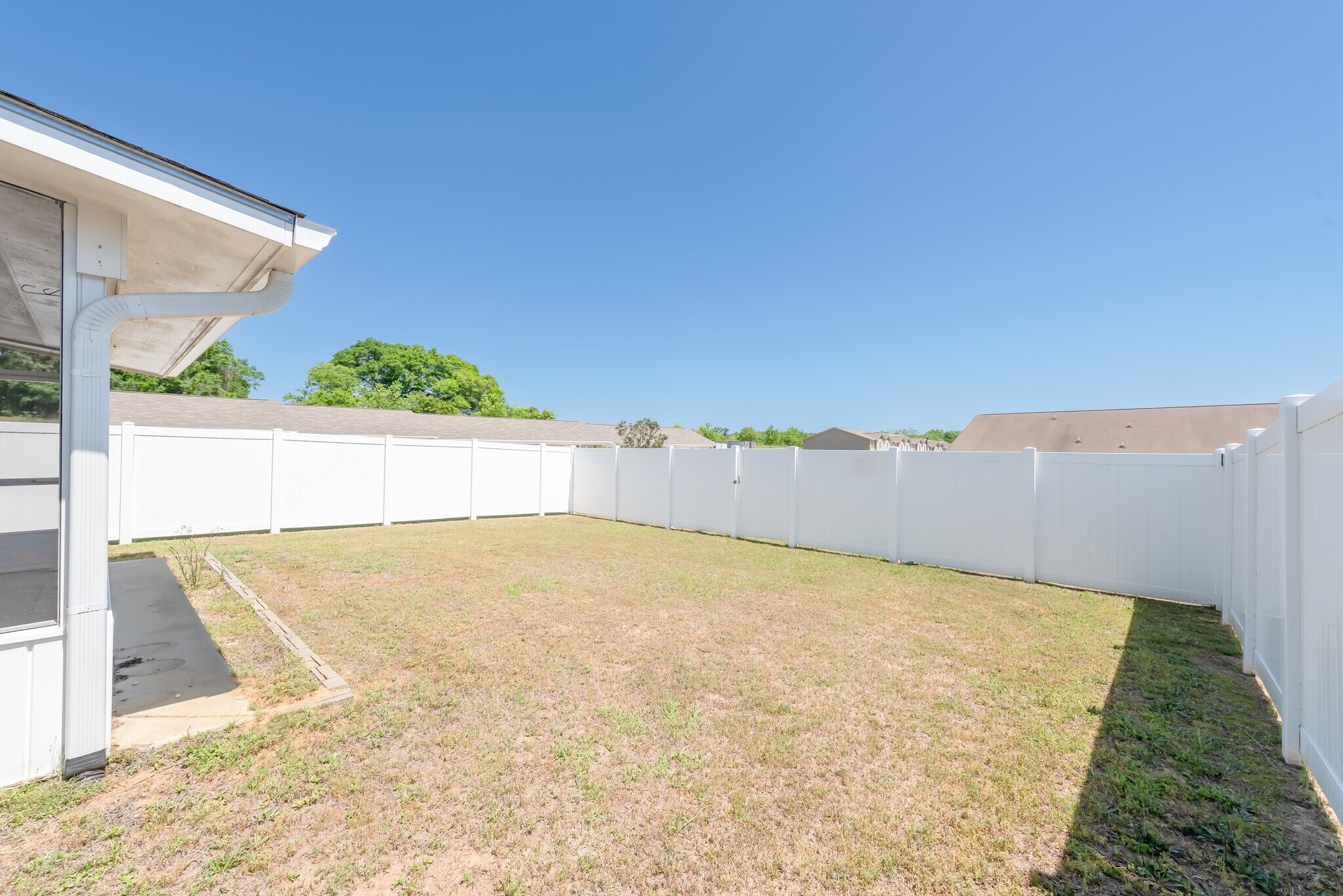 Backyard - 184 Concord Ave