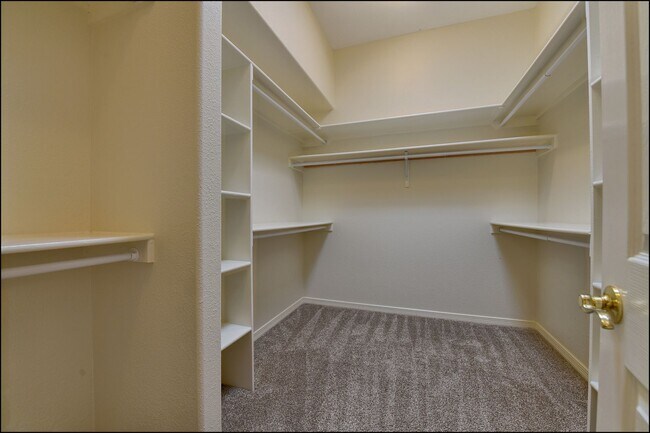 Building Photo - Available to view!