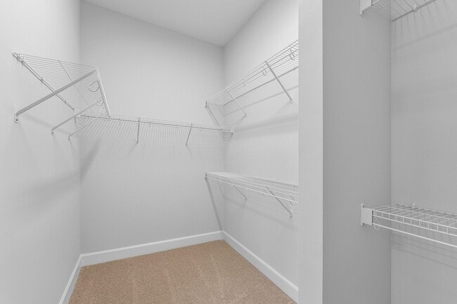 Building Photo - 5781 Lodgepole Ln