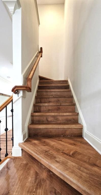 Building Photo - 1006 Indigo Ridge Pl