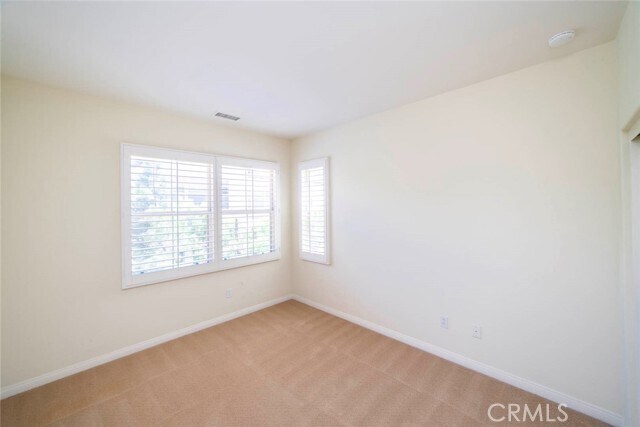 Building Photo - 33 Bromeliad