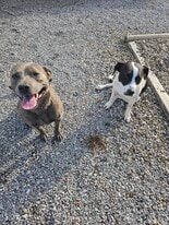 Building Photo - 127 E Park Ave