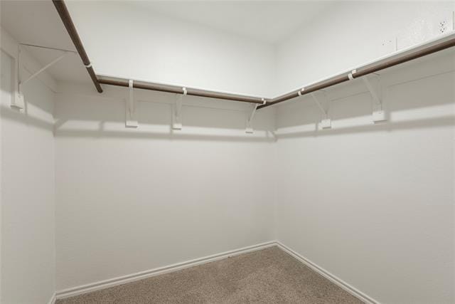 Building Photo - 6530 Diver St