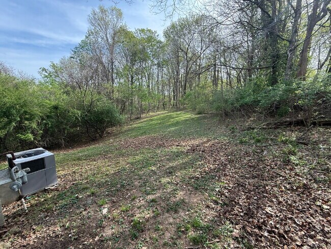 Building Photo - 1007 Walnut Dr