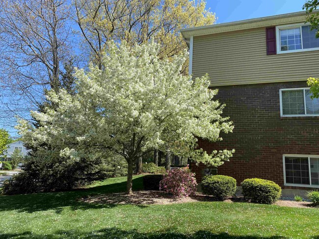 Building Photo - 3961 Brown Ave