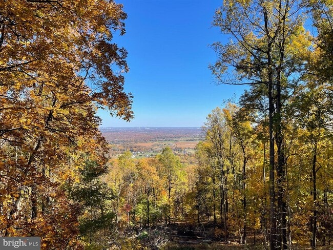 Building Photo - 2315 Lookout Rd