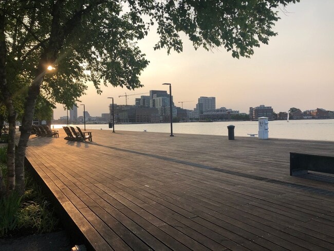 Building Photo - Modern Large and spacious house available in Locus Point