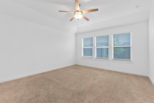 Building Photo - 3709 Palo Pinto Dr