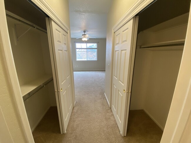 Building Photo - 2115 Grays Peak Dr