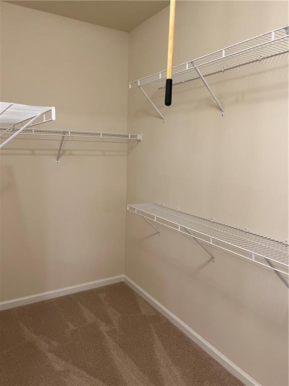 Building Photo - 716 Bay Skipper Ct