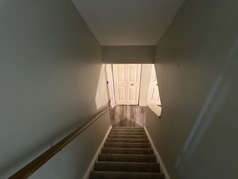 Building Photo - 317 Sycamore Ln