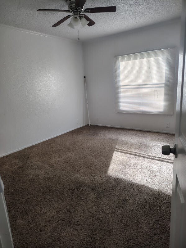 Building Photo - 11810 Greenglen Dr