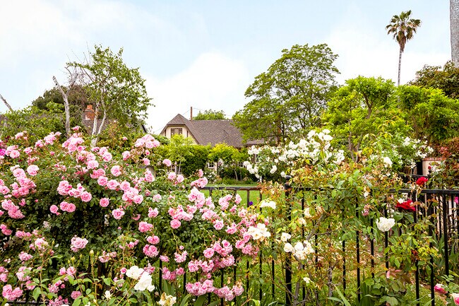 Charming English garden - 2173 San Pasqual St