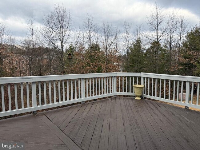 Building Photo - 16820 Jed Forest Ln