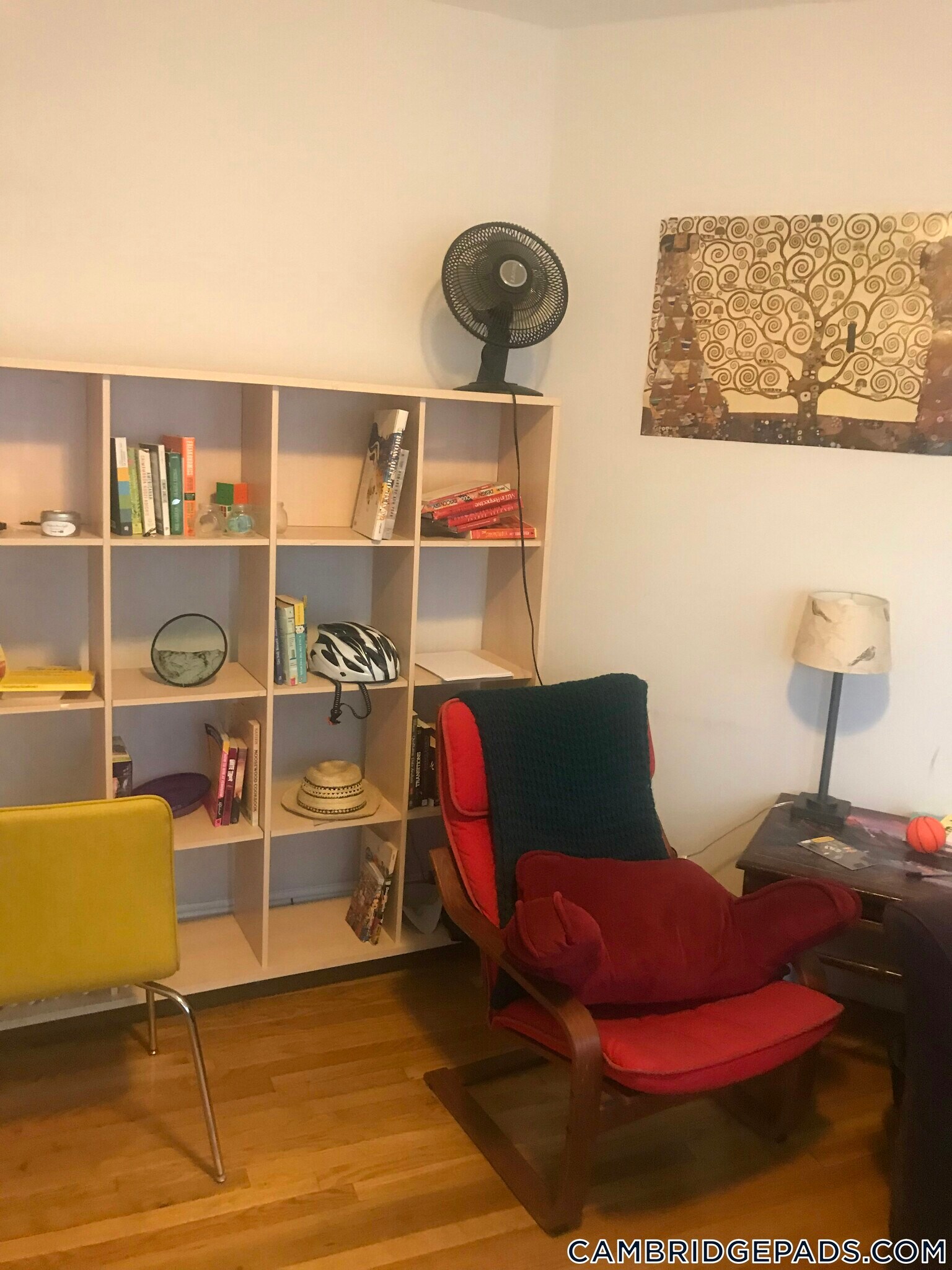 Building Photo - 376 Prospect St