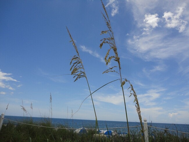 Building Photo - Vero Beach Rentals. Vero Beach Homes For Rent. Vero Beach Rent, LLC and Property Management Company