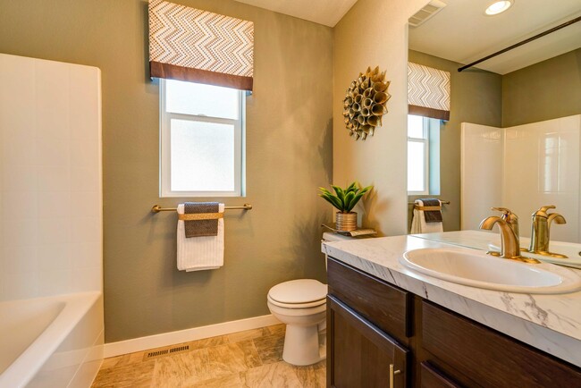 Shared Hall Bathroom - 2945 Sykes Dr