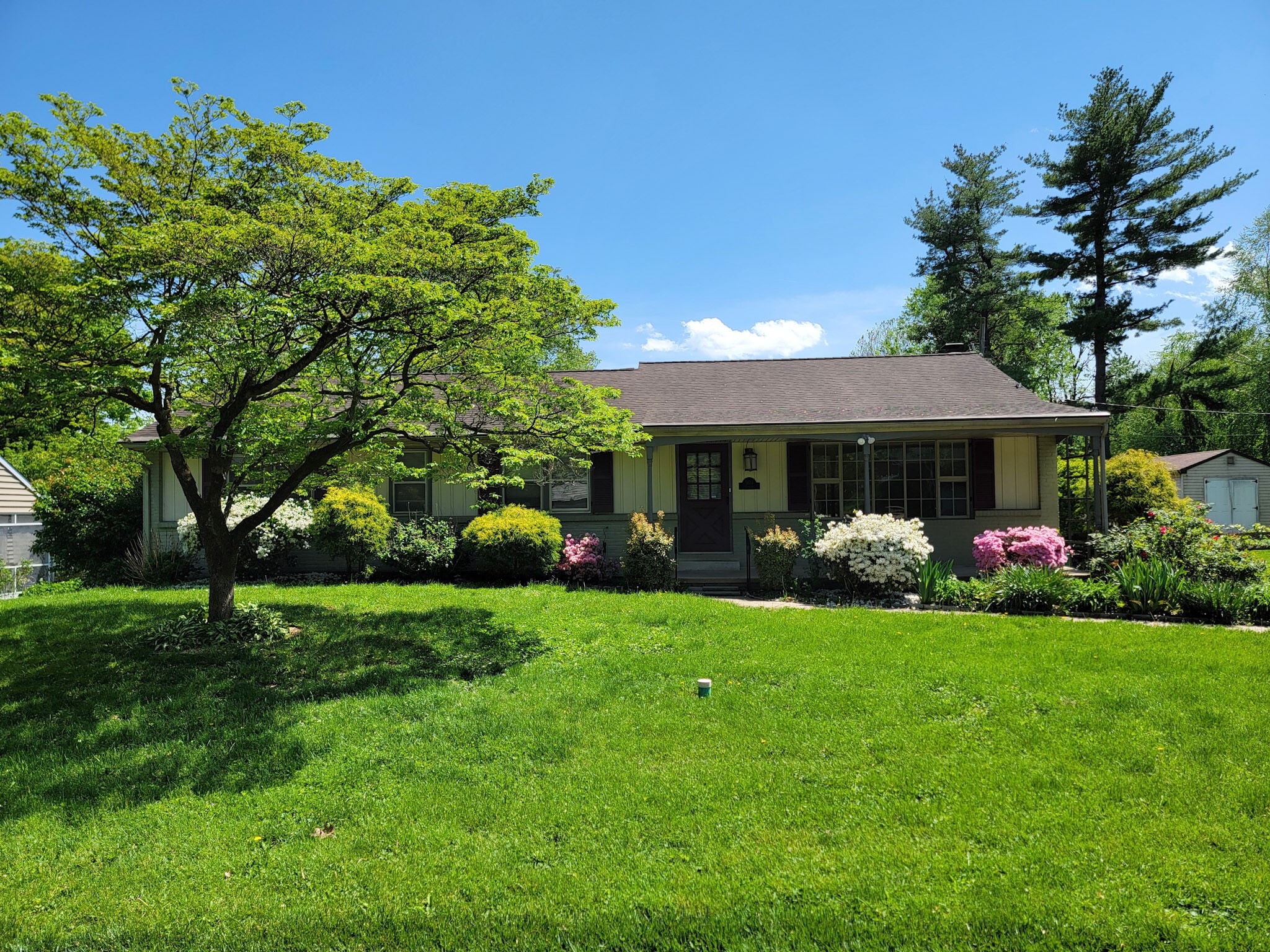 Building Photo - 1404 Carlton Dr